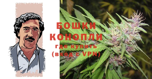 spice Алзамай