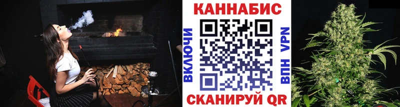Бошки Шишки ГИДРОПОН mega tor Грайворон